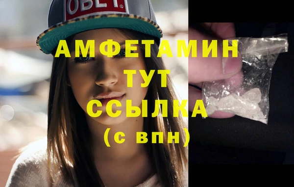 шишки Белоозёрский