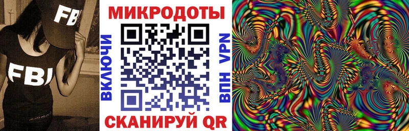 что такое   Гай  Псилоцибиновые грибы Psilocybine cubensis 