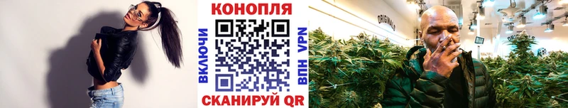 Каннабис семена  Гай 
